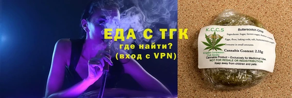 ECSTASY Алзамай