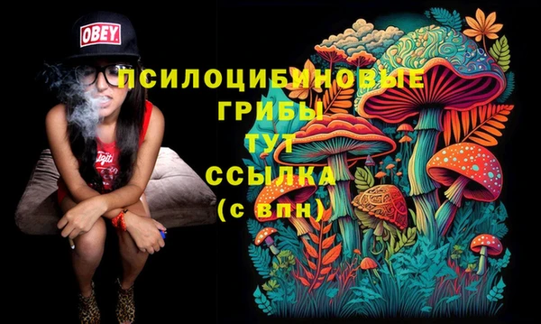 винт Алексин