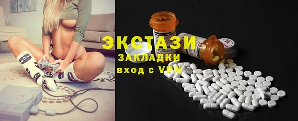 ECSTASY Алзамай
