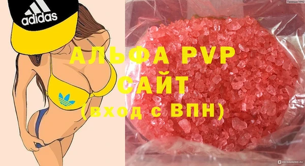ECSTASY Алзамай