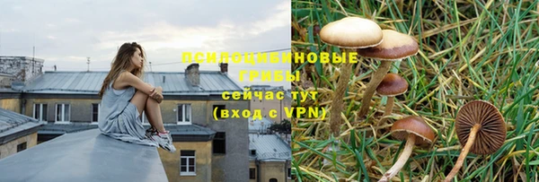 спайс Алексеевка
