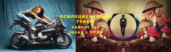 ECSTASY Алзамай