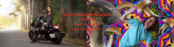 винт Алексин