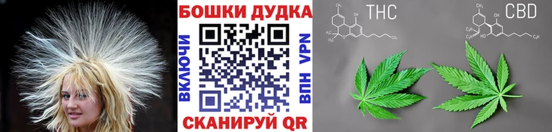 Конопля White Widow  магазин продажи   мега как войти  Кинель 